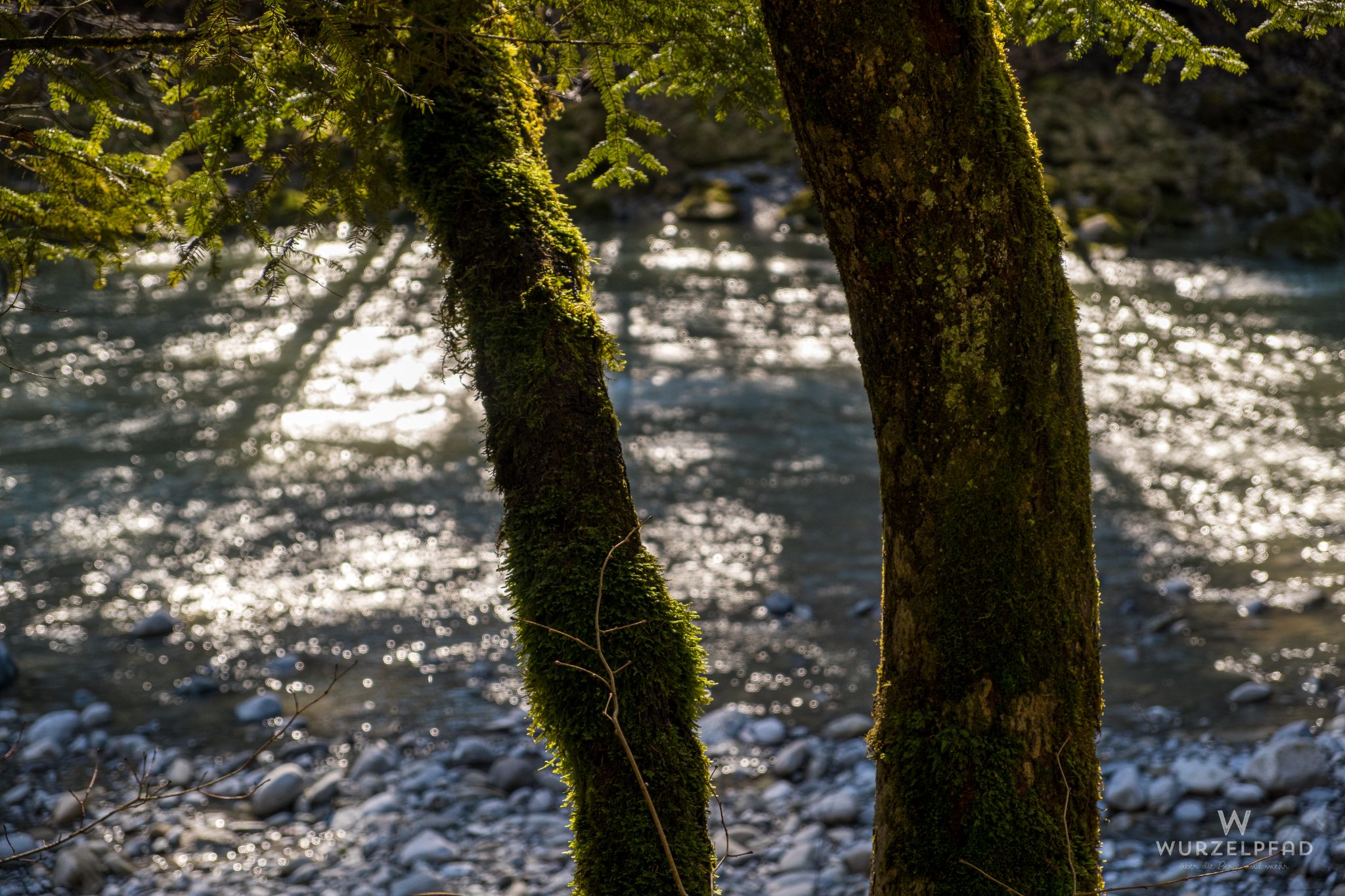 Frühlingsstimmung an der Bregenzer Ache